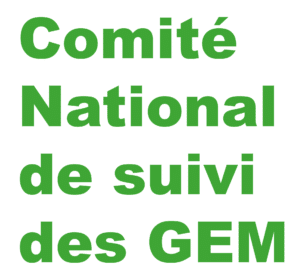 Read more about the article Compte-rendu de réunion du Comité National de suivi des GEM