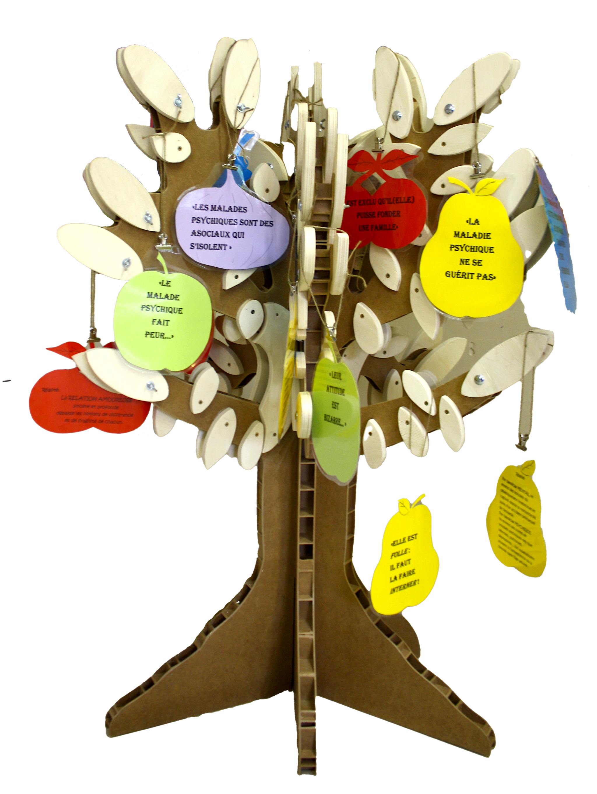 GEM « La Tortue qui trotte » de Rambouillet : l’histoire de l’arbre aux préjugés