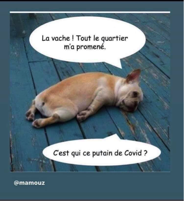 You are currently viewing 20-03-2020 : Les GEM à l’heure du confinement