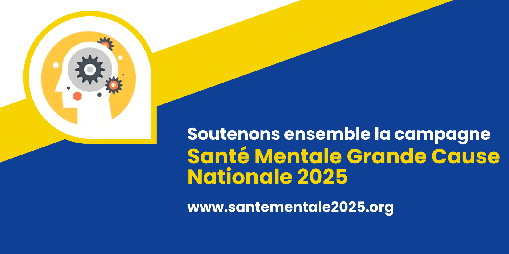 CNIGEM_Sante mentale grande cause nationale 2025