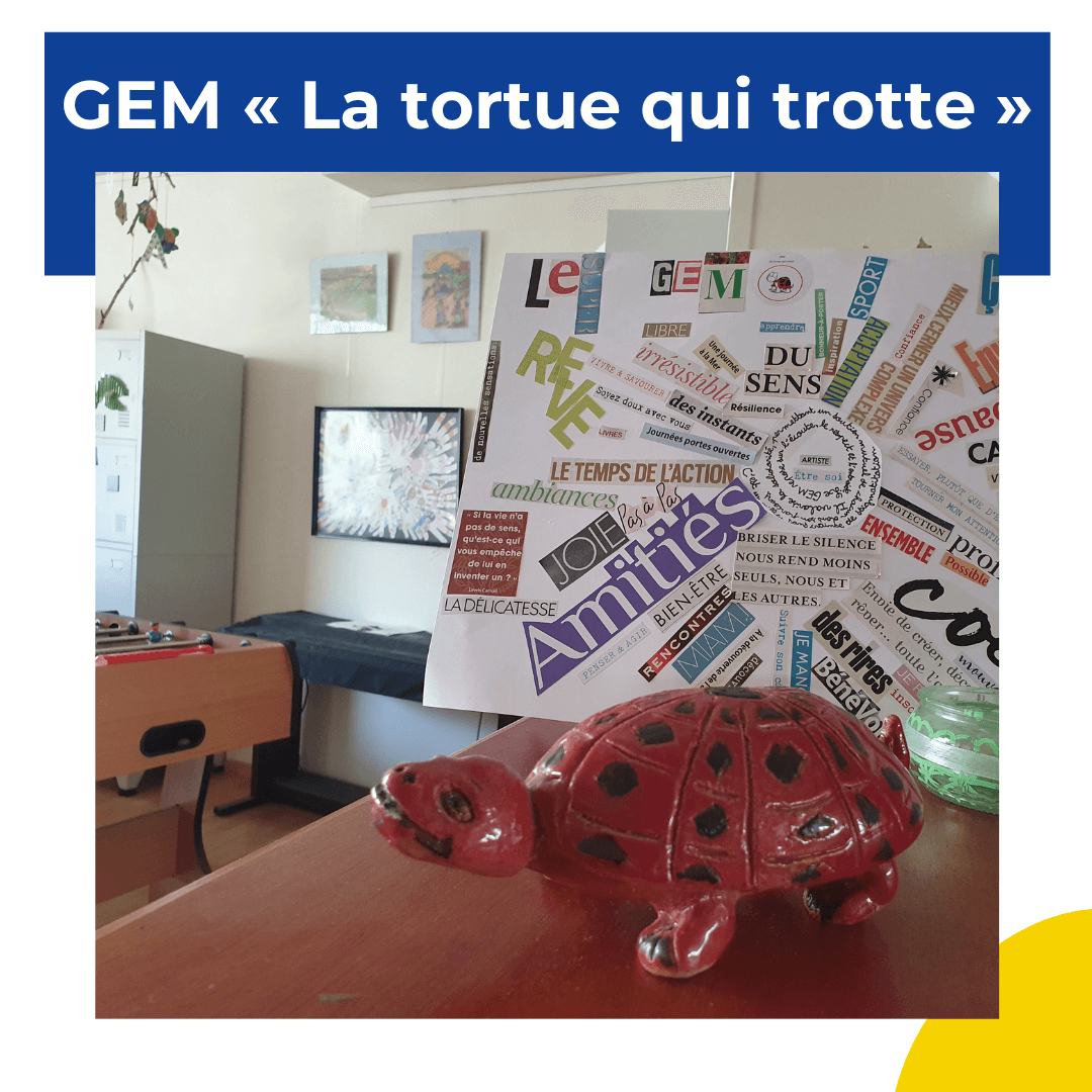 Zoom sur un GEM : GEM « La tortue qui trotte » de Rambouillet